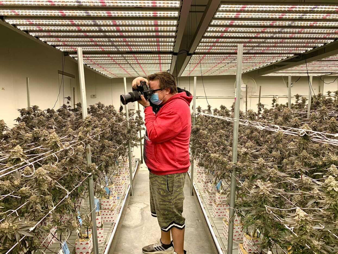 LA Weekly: Garden Glance