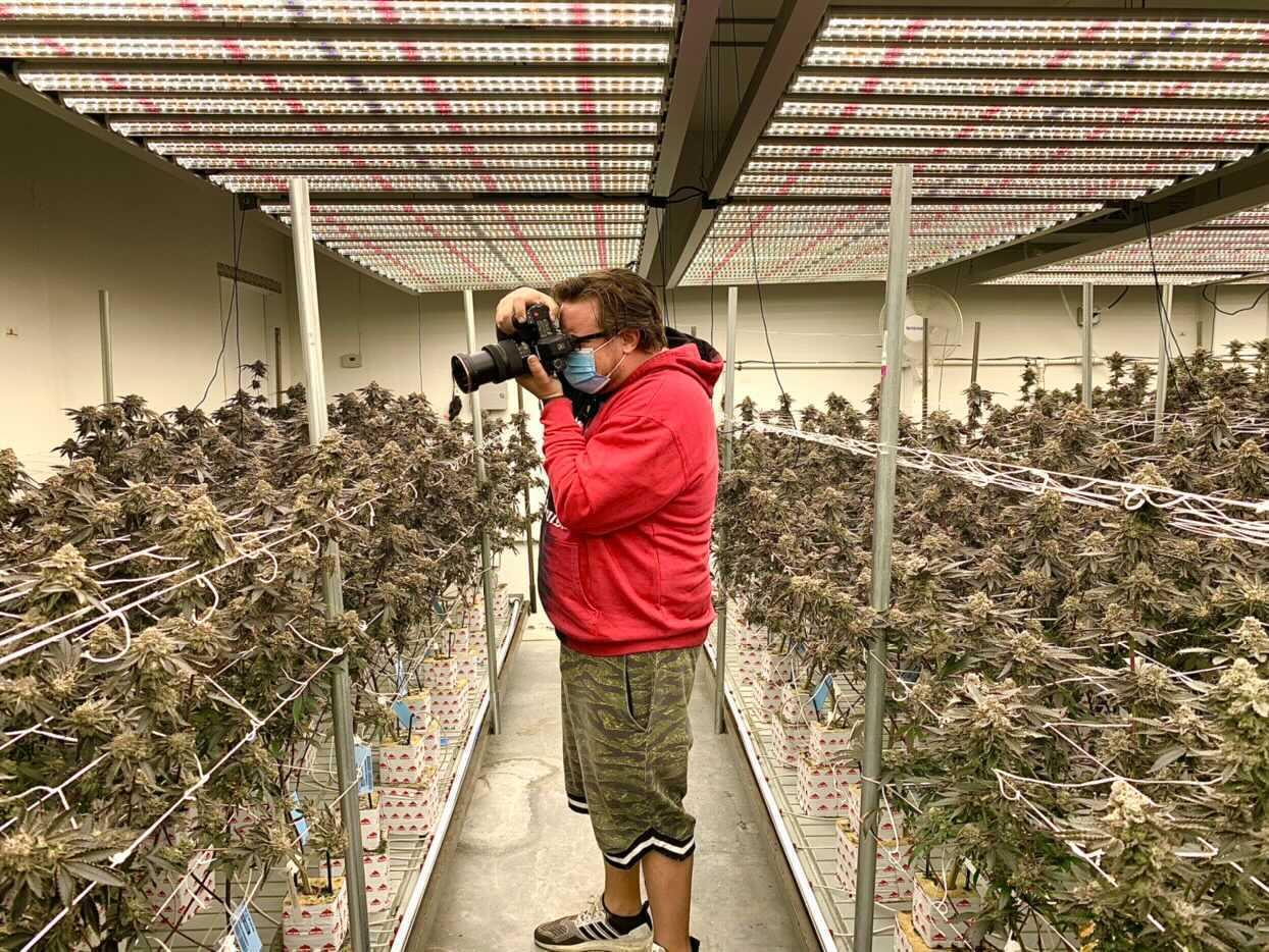 LA Weekly: Garden Glance