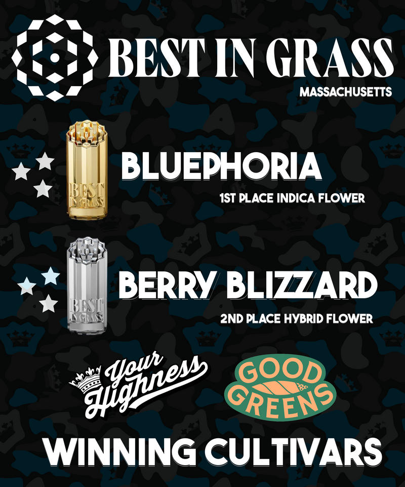 Your Highness Strains take Gold and Silver at Best in Grass Massachusetts