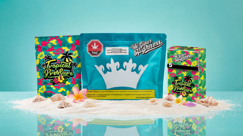 The Macro Experience